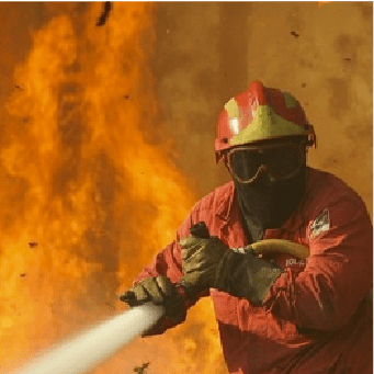 Bispos questionam arrefecimento na prevenção dos incêndios florestais