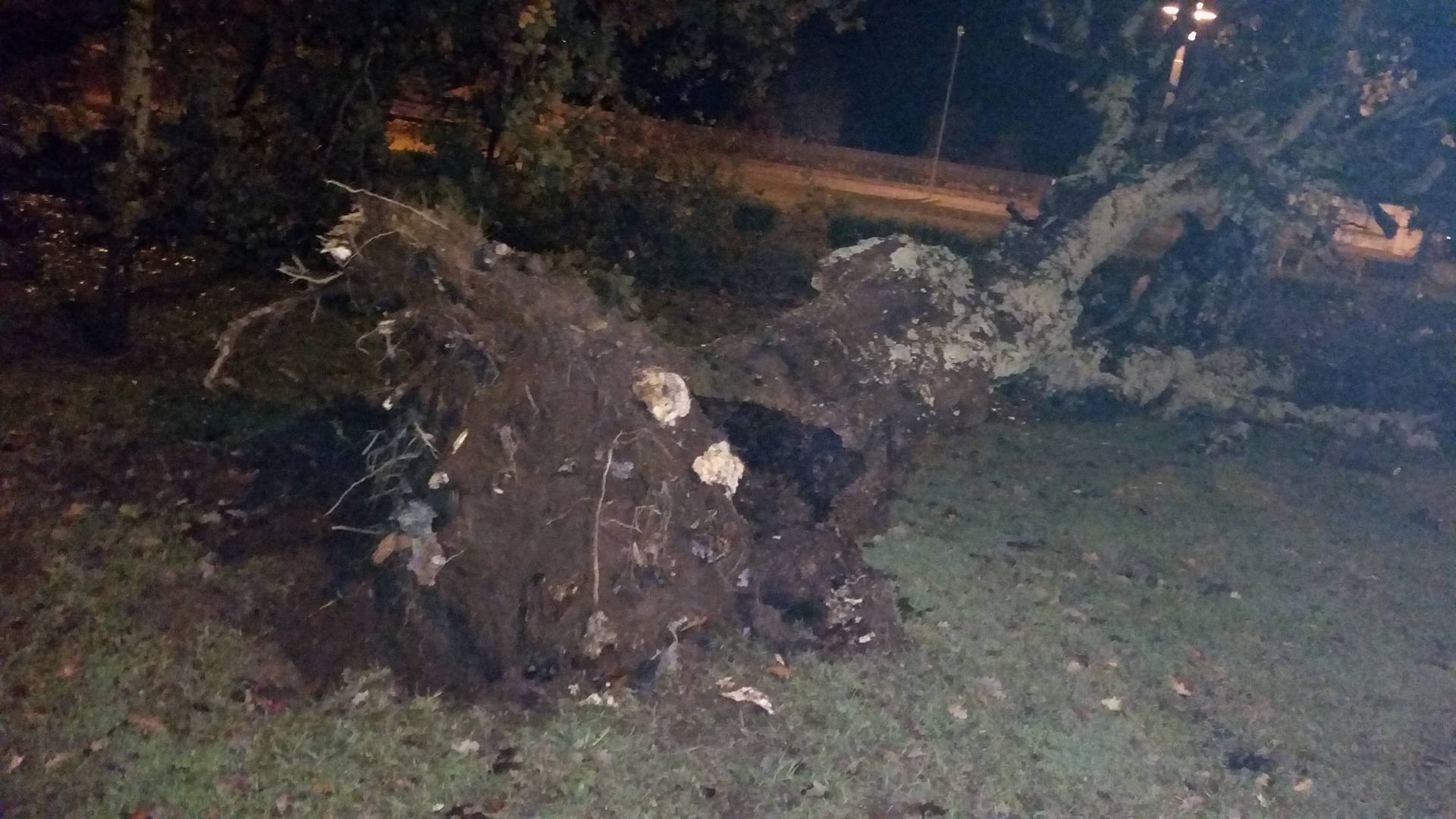 Mau tempo provocou quedas de árvores e estruturas edificadas no Minho mas sem gravidade