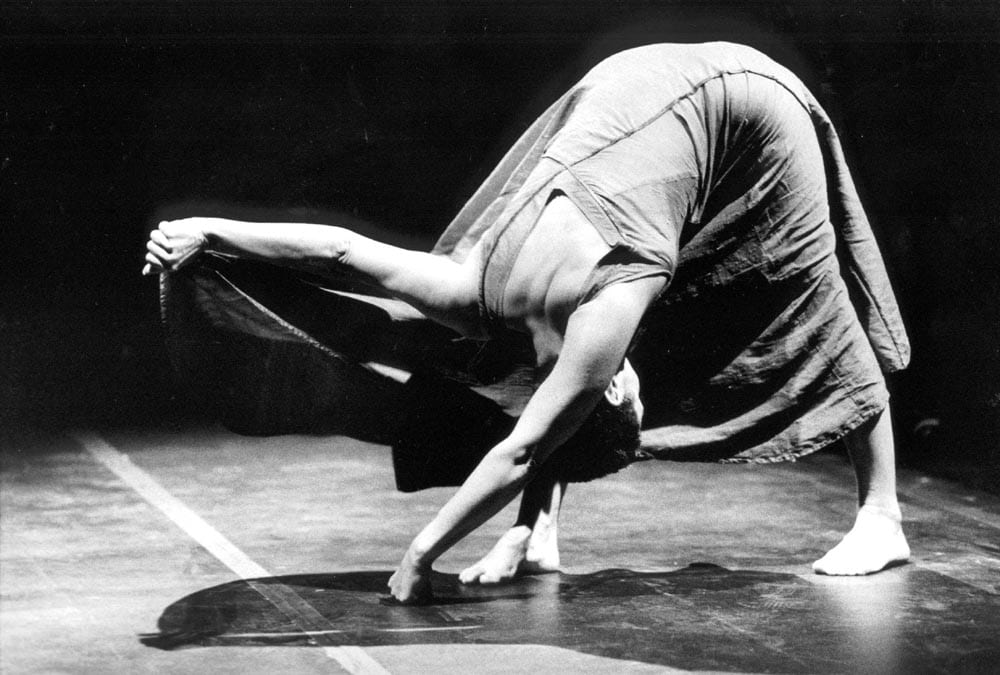 Viana felicita Olga Roriz por distinção Honoris Causa pela Universidade de Aveiro