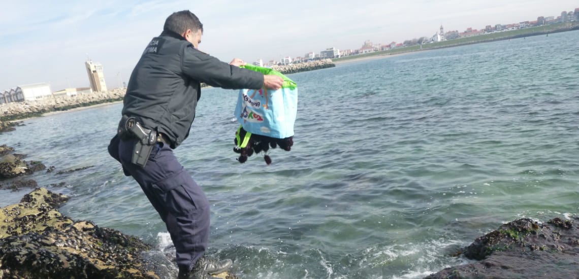 Polícia apreende 60kg de ouriços-do-mar e 40kg de perceves