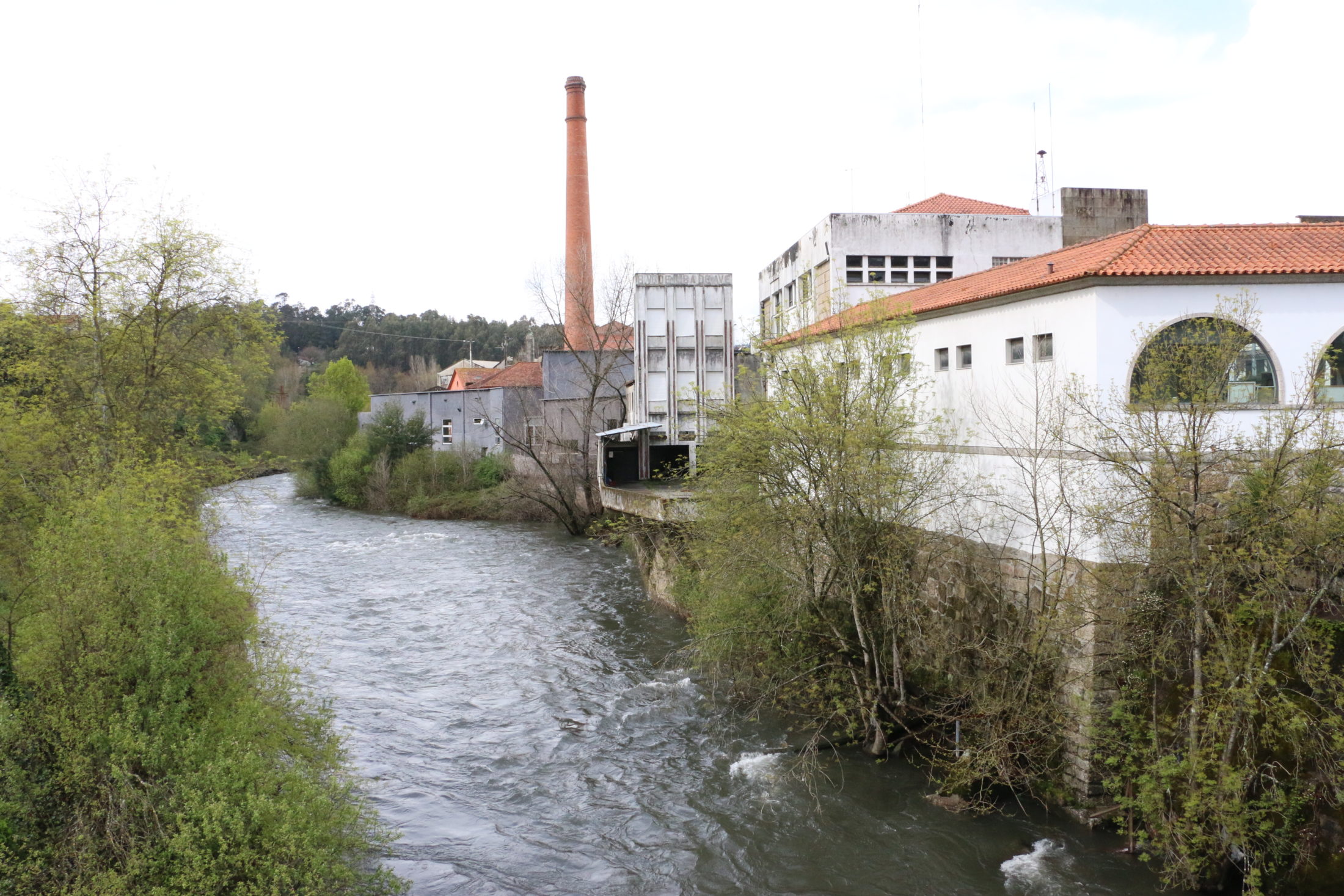 Rio Ave é exemplo de recuperação ambiental