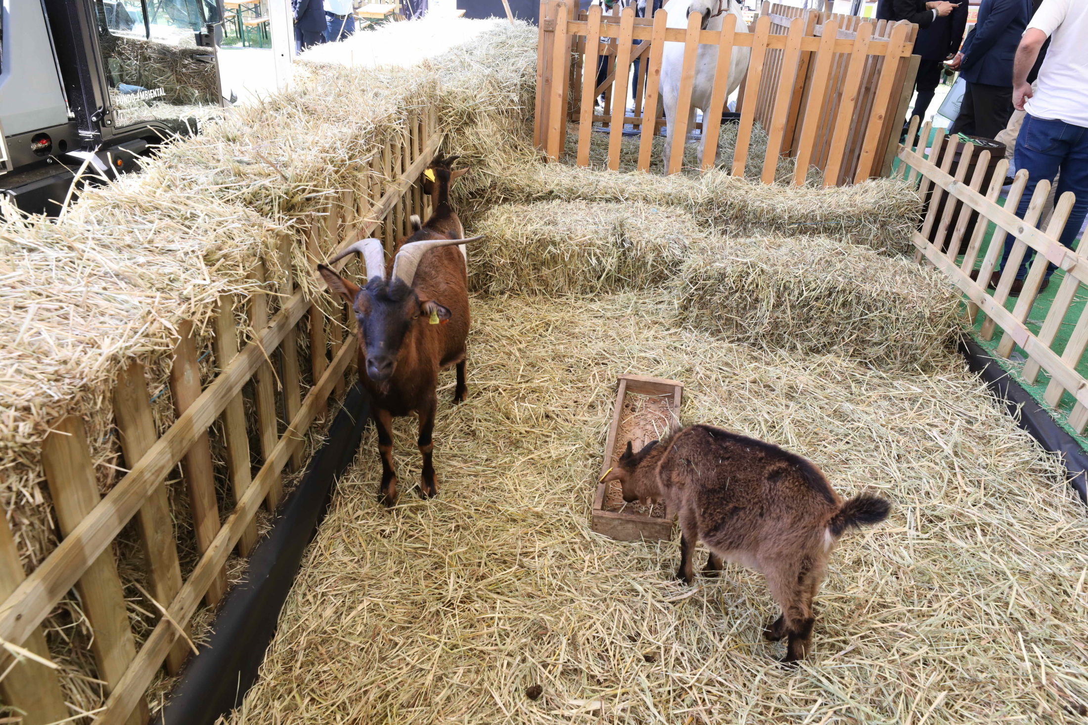 Pandemia adia AGRO para setembro