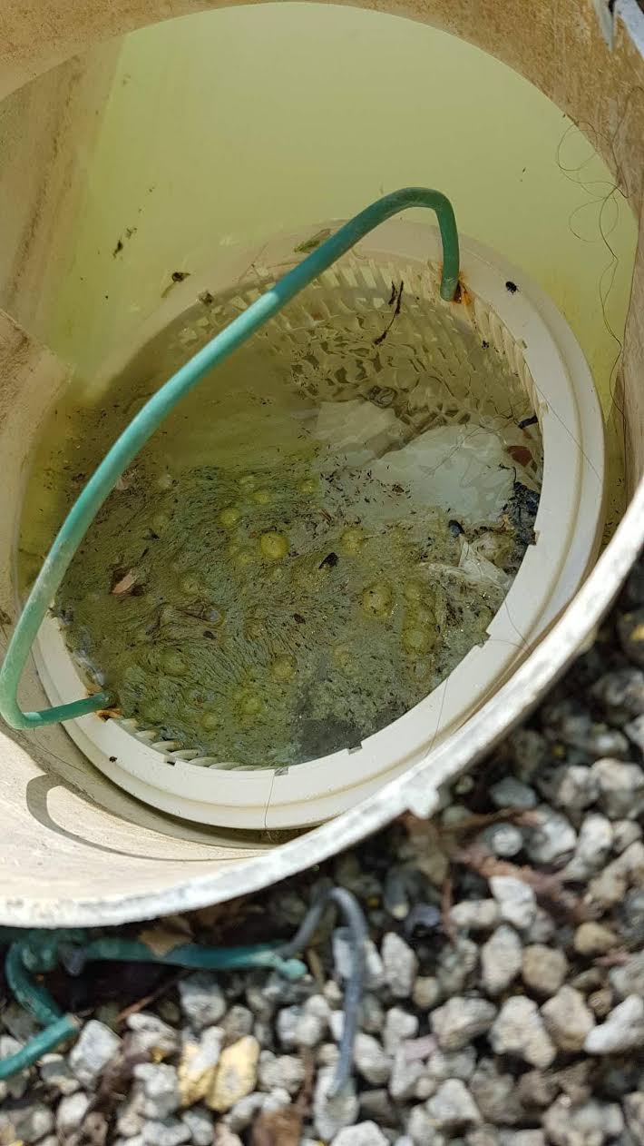 Piscina de Cabeceiras de Basto foi vandalizada