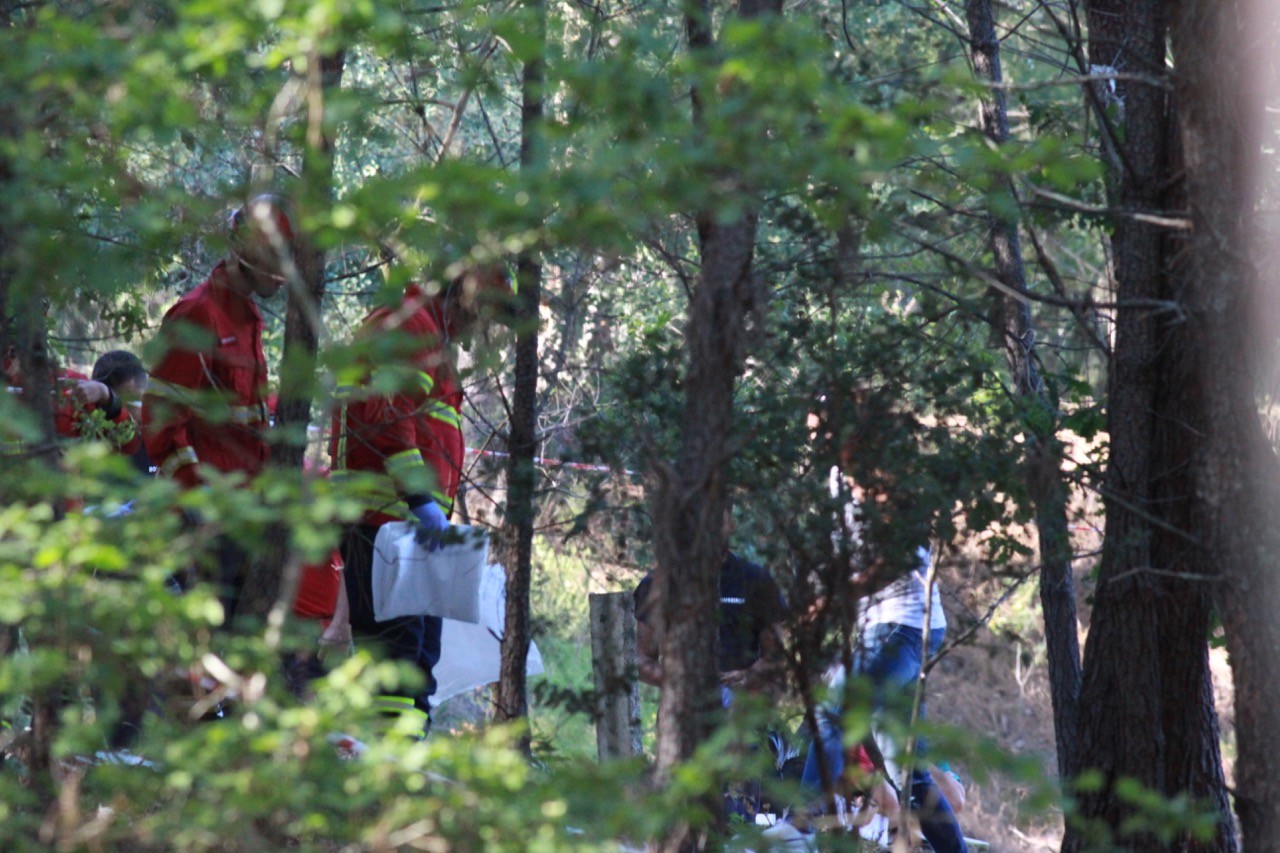 PJ investiga corpo encontrado parcialmente enterrado em floresta de Vermoim