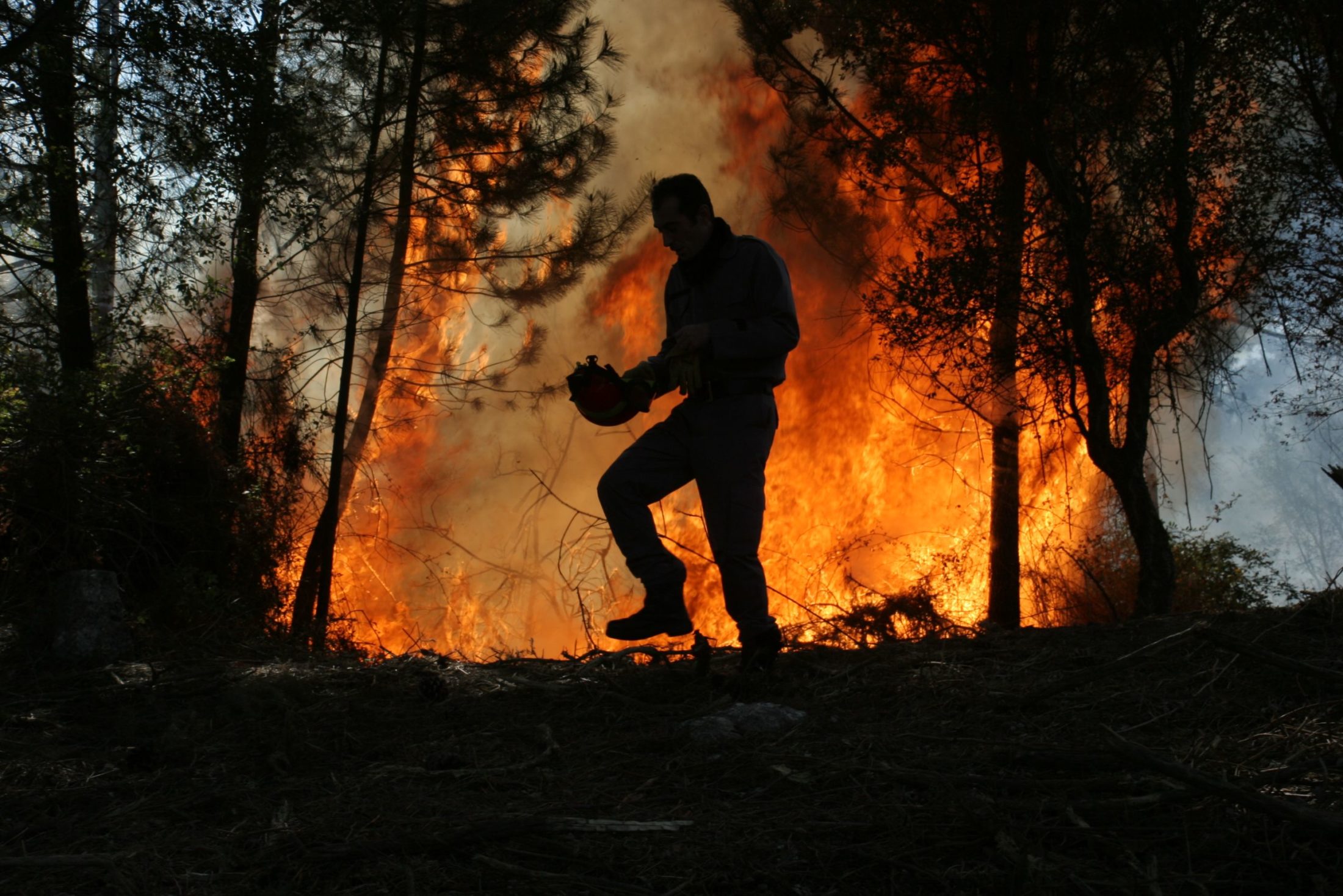 Seis incêndios rurais no distrito de Braga mobilizaram num dia 150 operacionais e meios aéreos