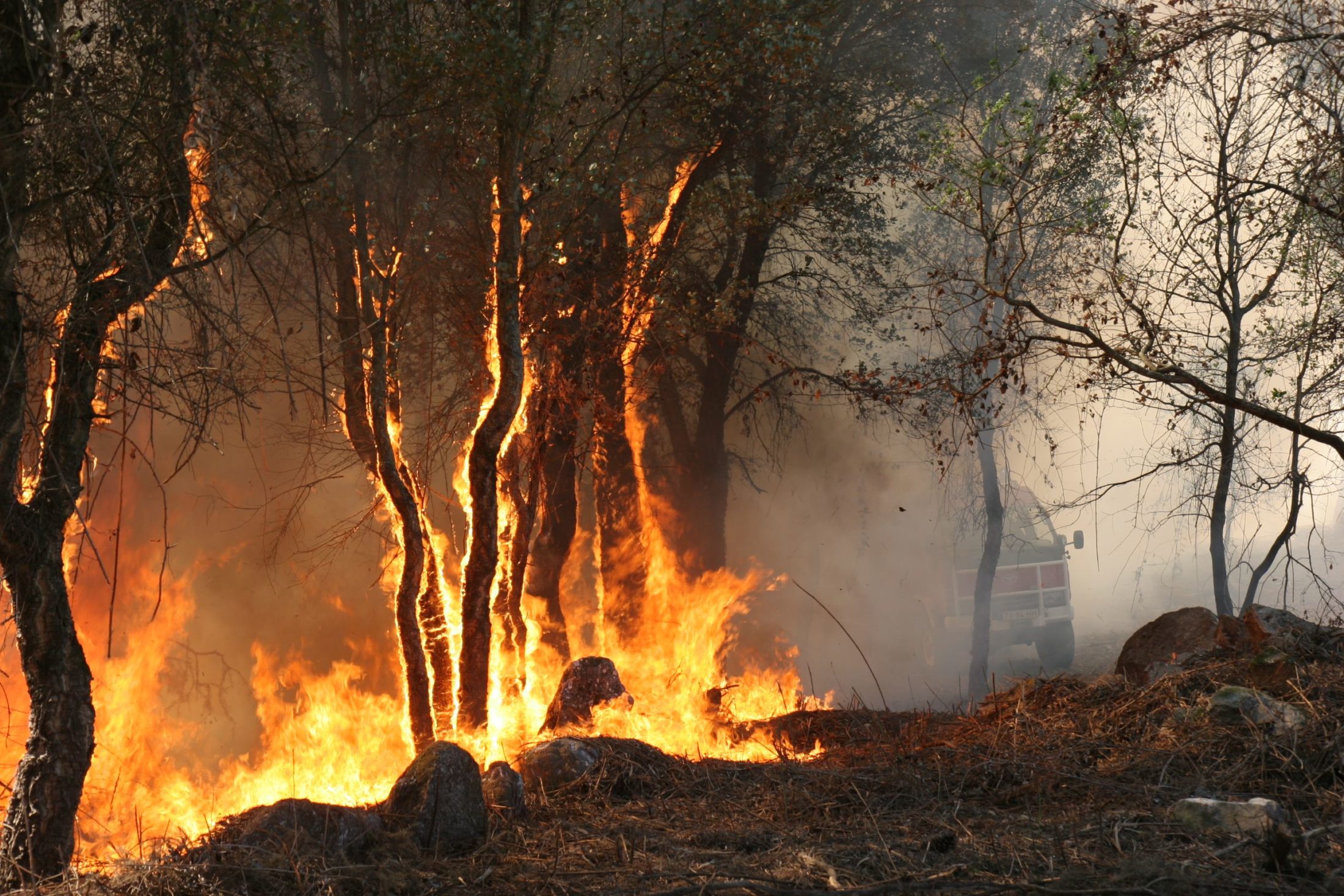Vários incêndios no baixo Minho mobilizam bombeiros e meio aéreo