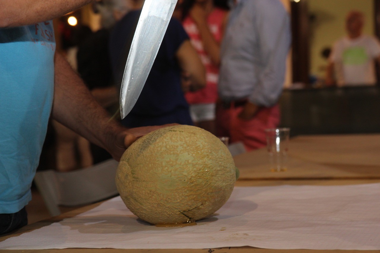 Produção de "Melão Casca de Carvalho" dizimada devido ao calor