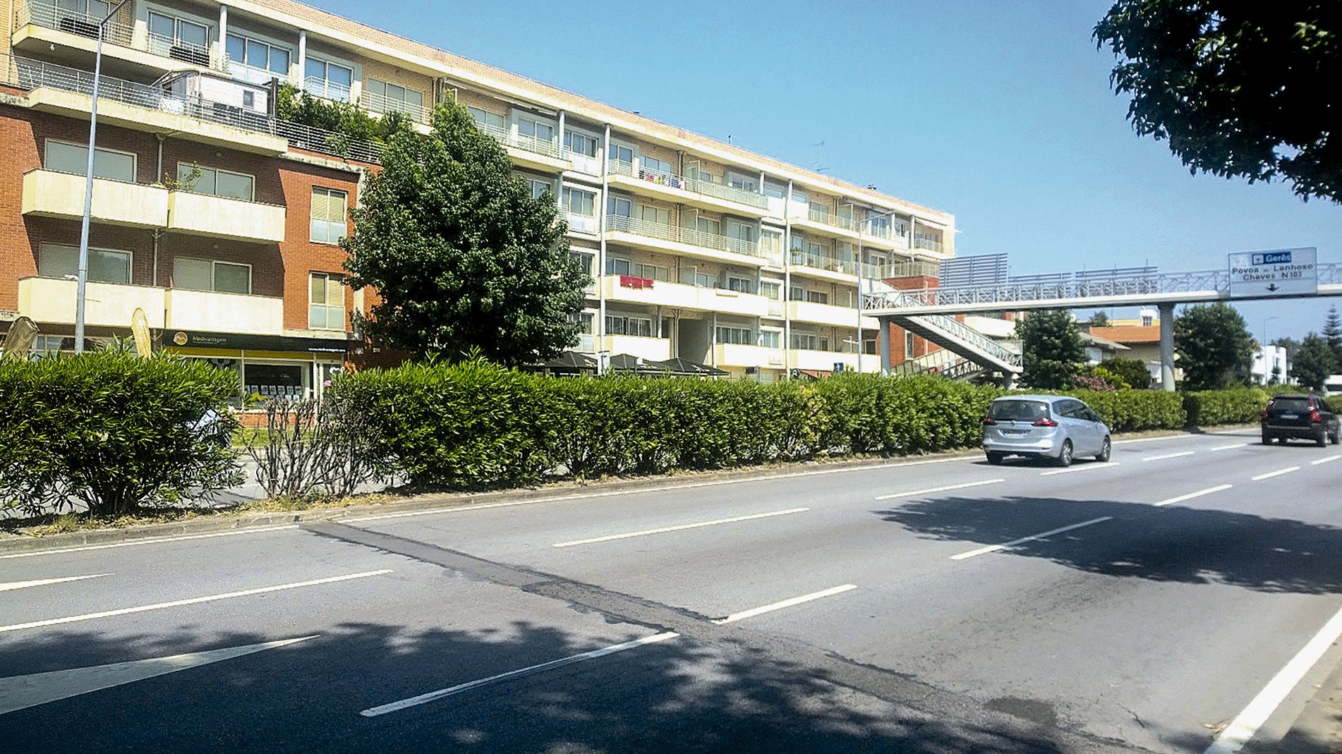 Os ninjas que saem do meio dos arbustos