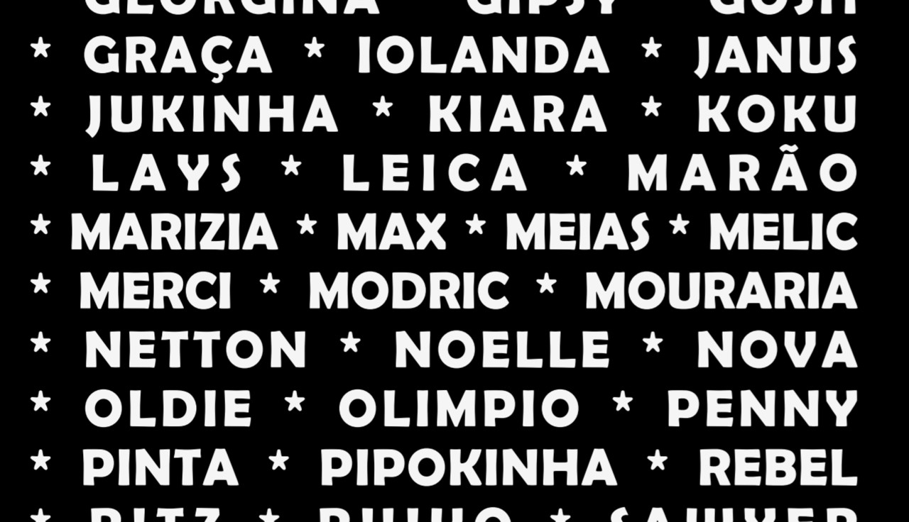 ? Arcada recebe concentração de "luto" e "repúdio" pelo abate de cães no CRO