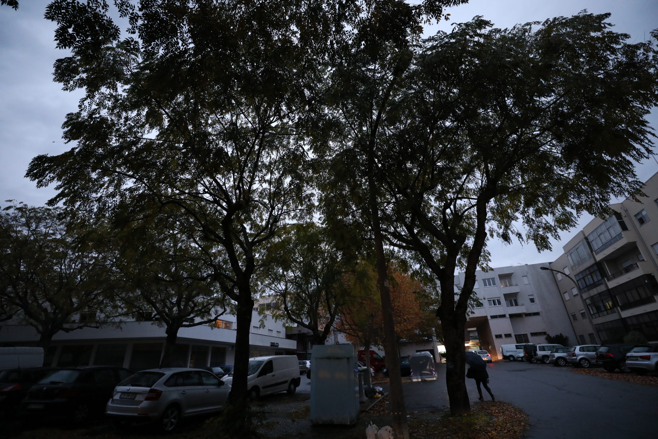 Quem não vê, apalpa!