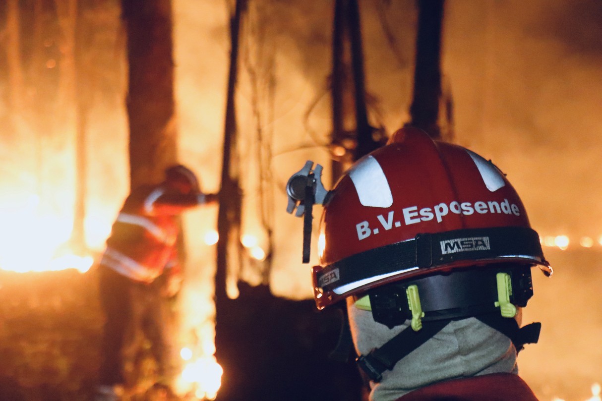 ? Incêndio consome mato e floresta em Palmeira de Faro
