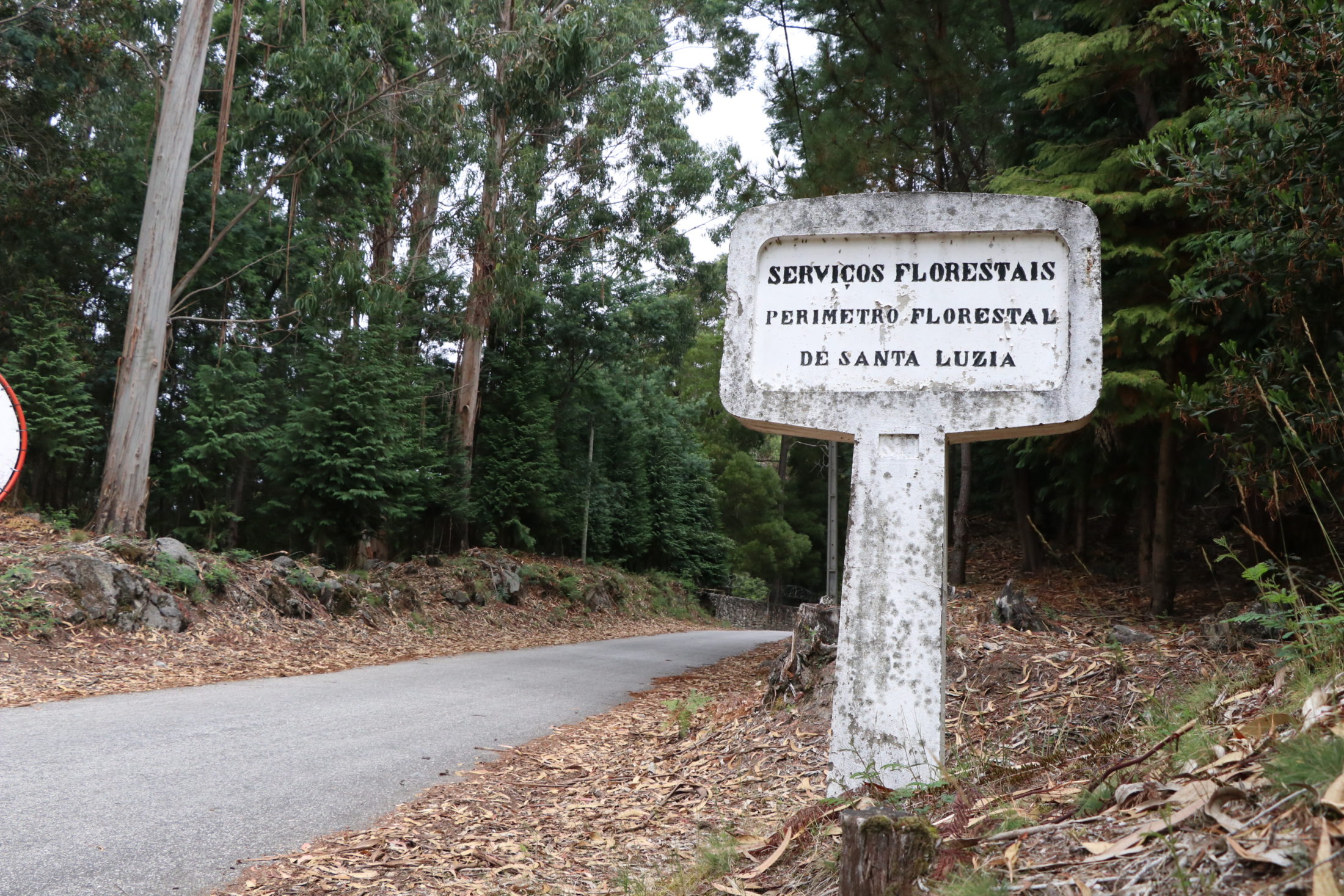 ? Ocorrências de incêndio na Santa Luzia têm diminuído nos últimos dez anos