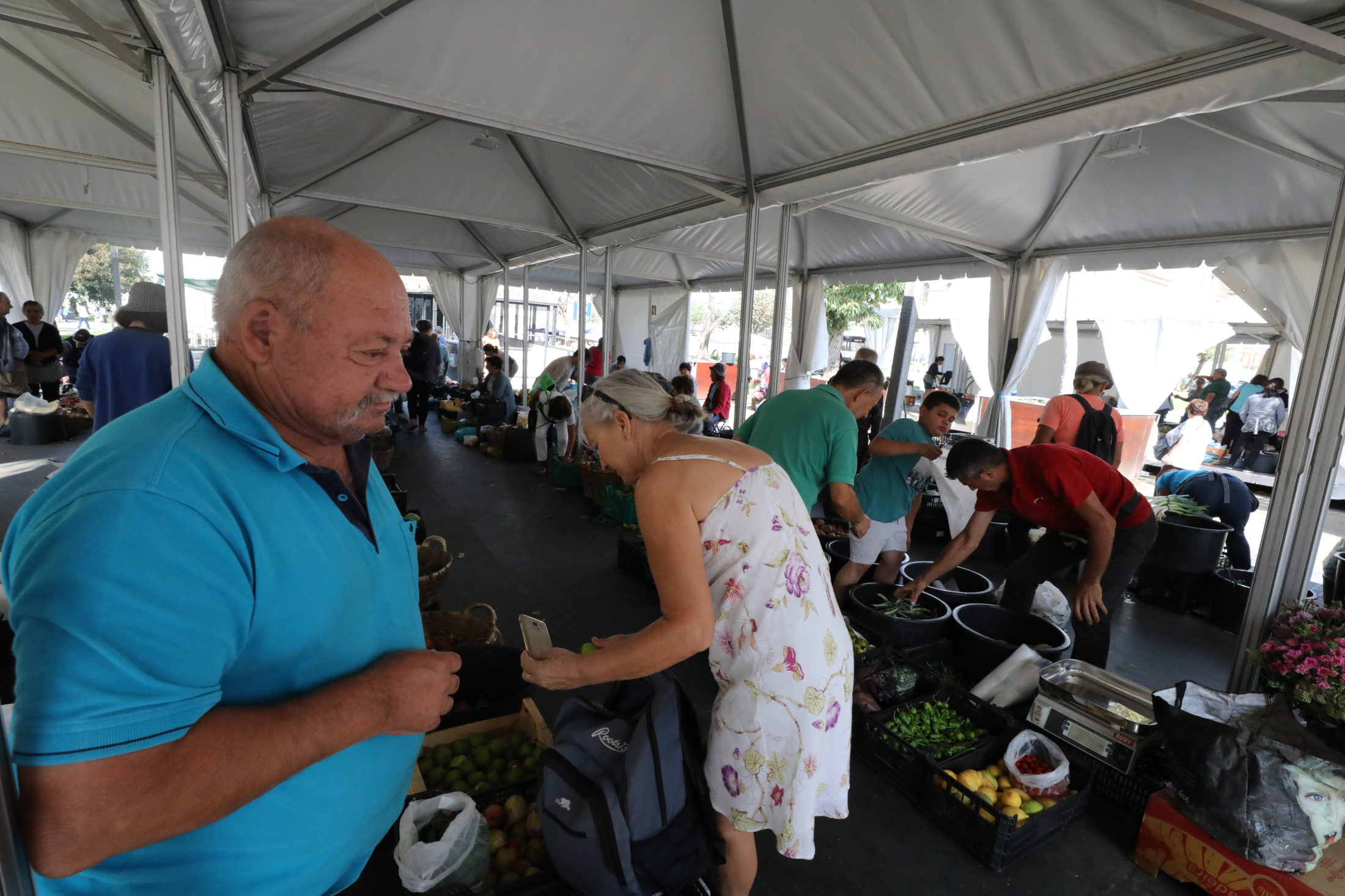 Mercado temporário agrada aos bracarenses
