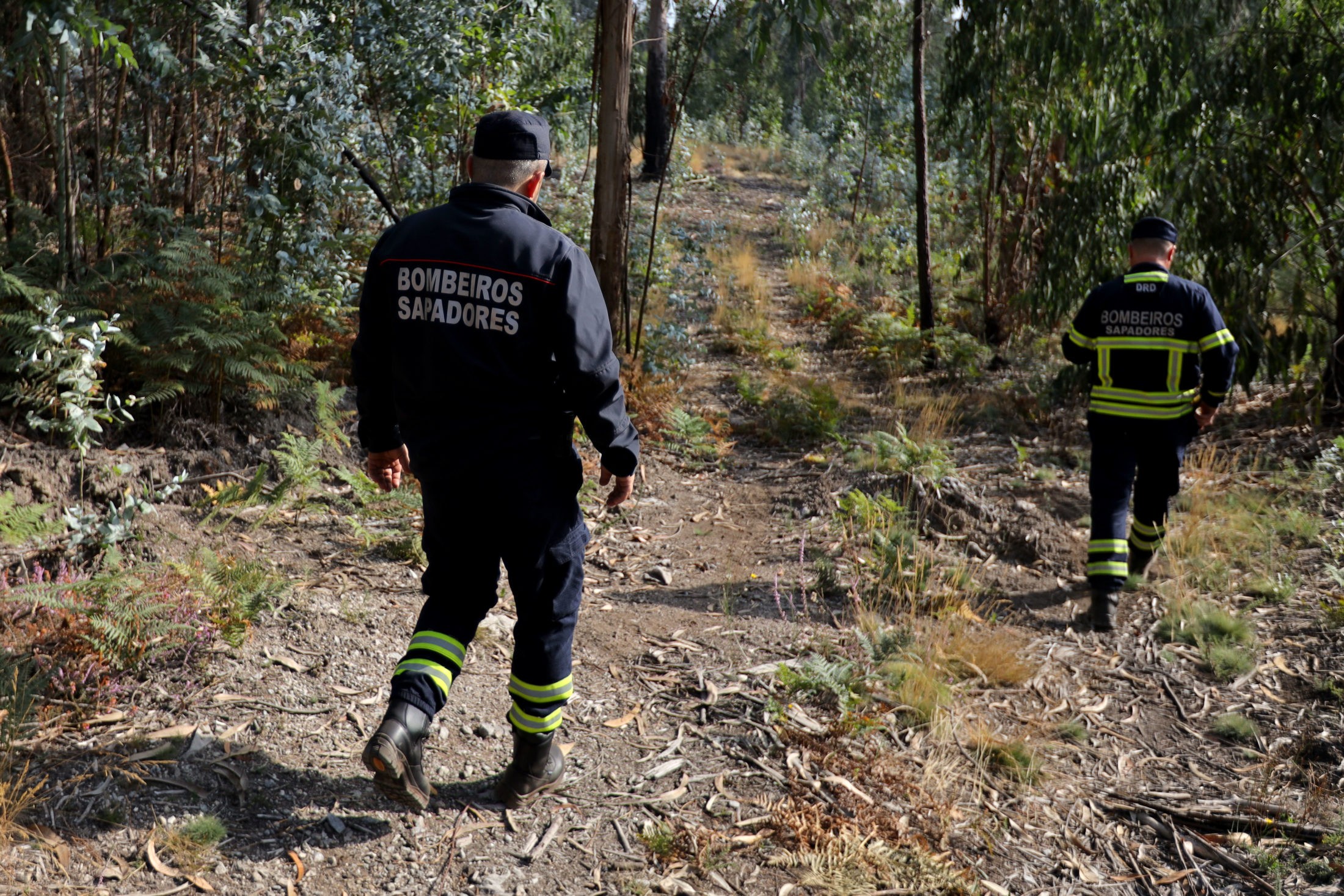 Populares e bombeiros ajudam nas buscas por mulher desaparecida na Morreira