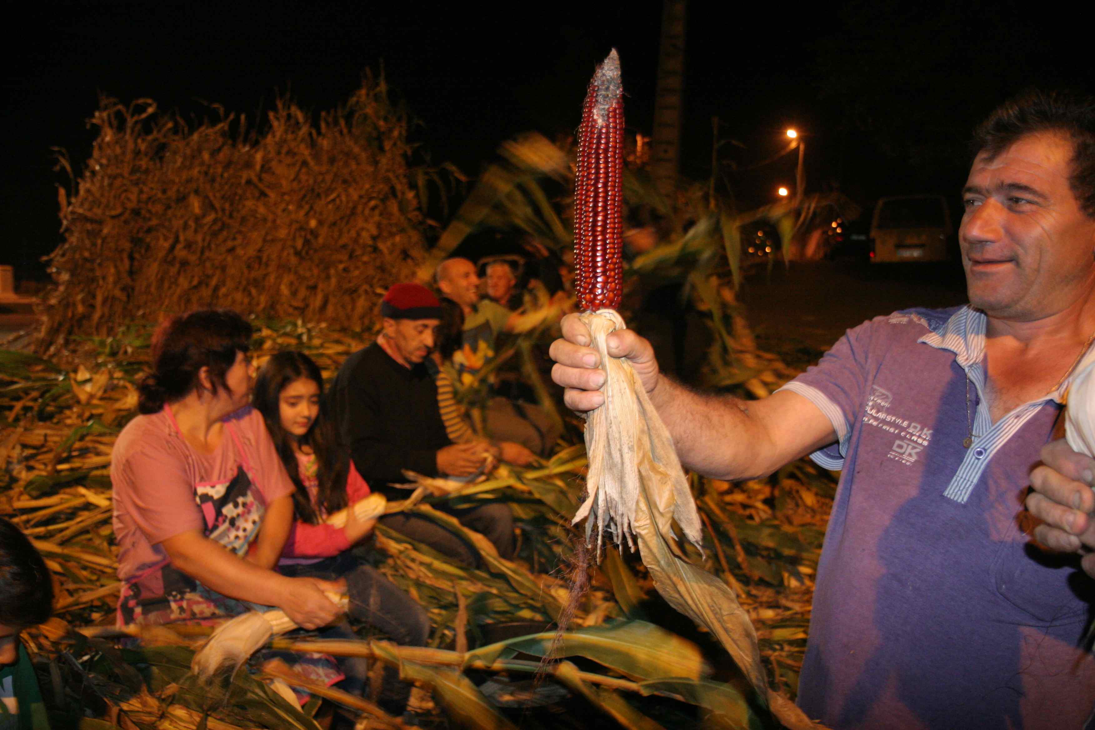 Grupos folclóricos do concelho de Esposende juntos para desfolhada em Apúlia