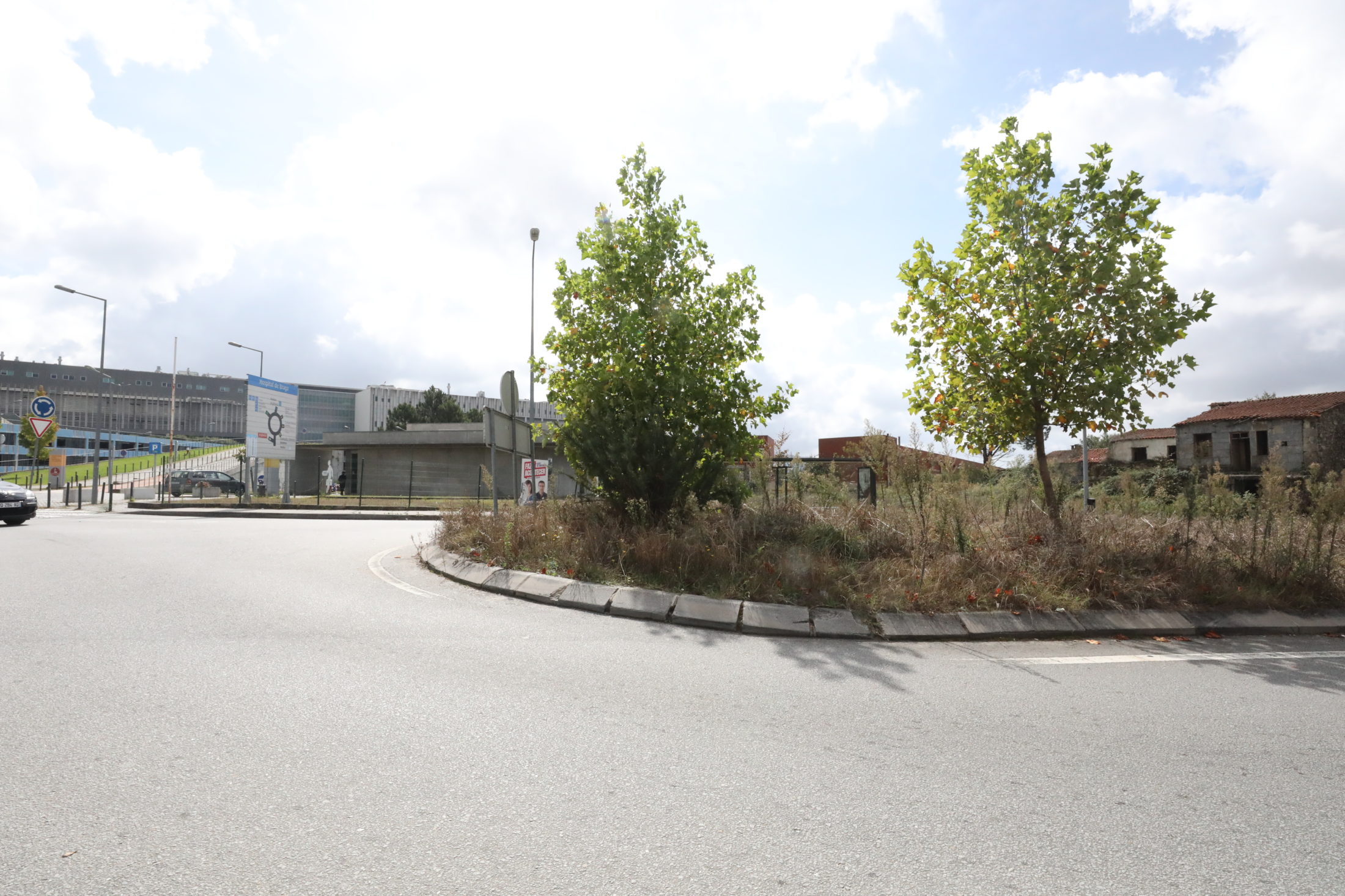 A tosquia que já tarda!