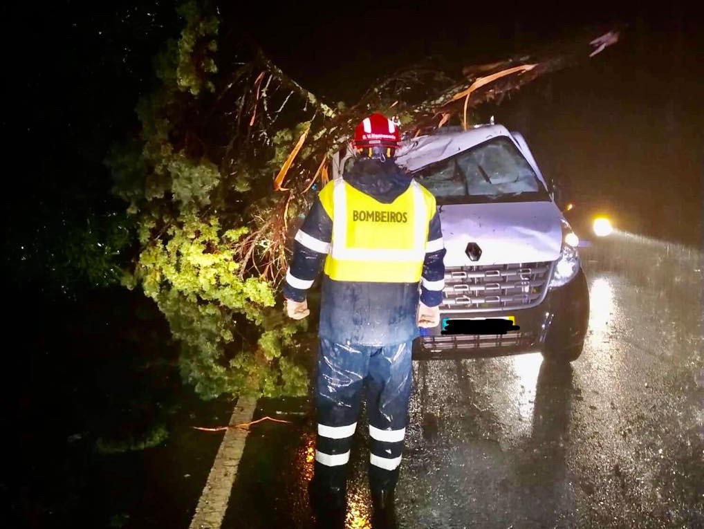 Tempestade: Carrinha atingida por árvore quando atravessava a EN103 em Forjães