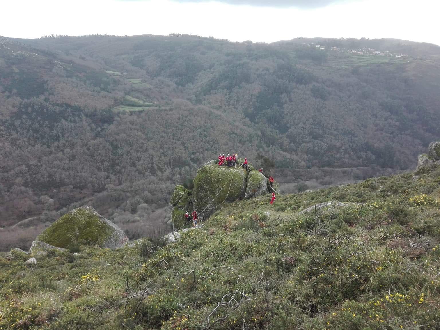 Pandemia atrasa limpeza de terrenos por equipas de sapadores florestais