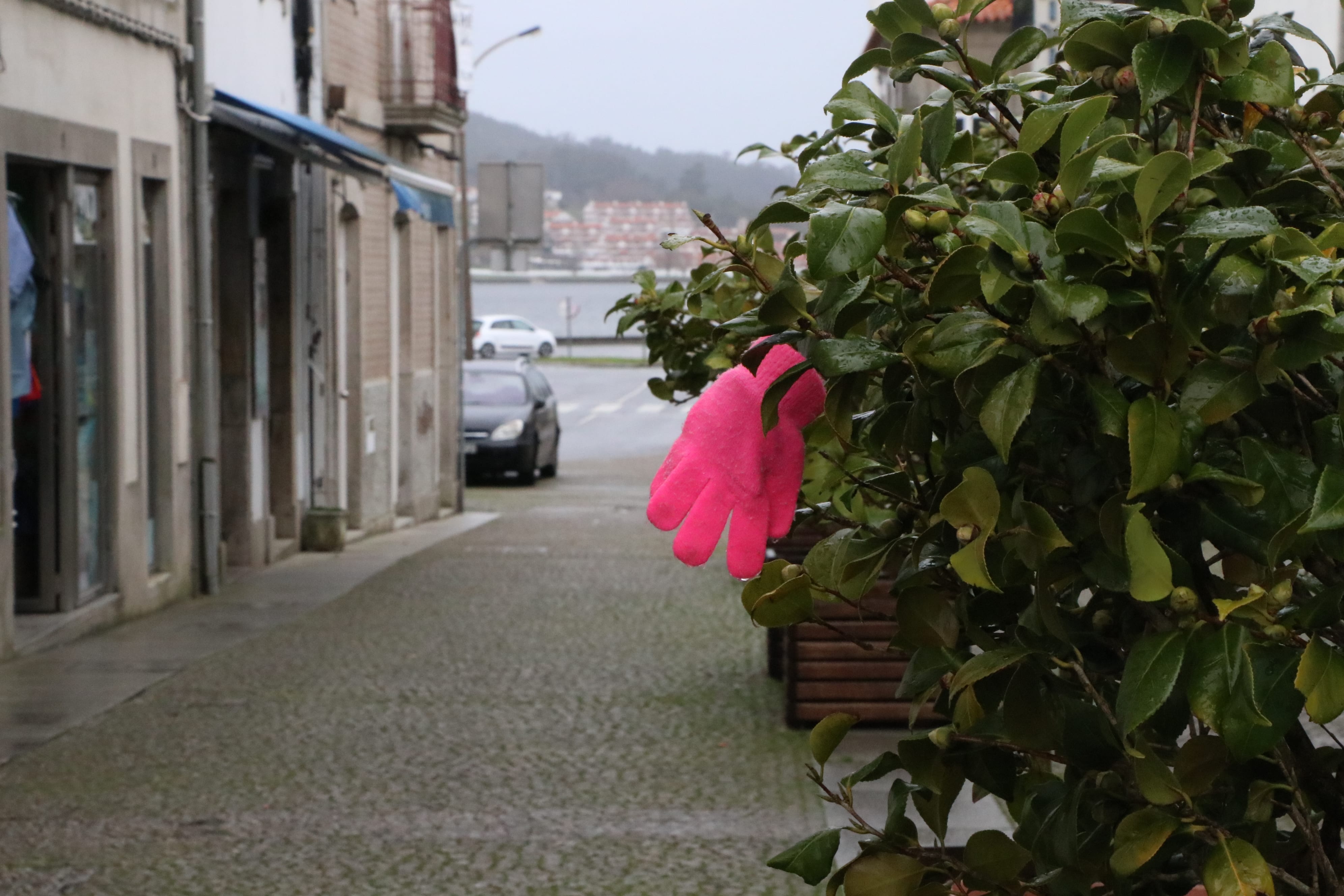 Primavera começou hoje com chuva e descida da temperatura