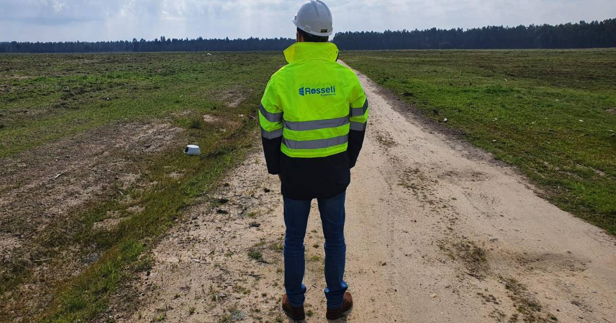 Rosseti instala 80 mil painéis solares no Ribatejo para abastecer 35 mil casas