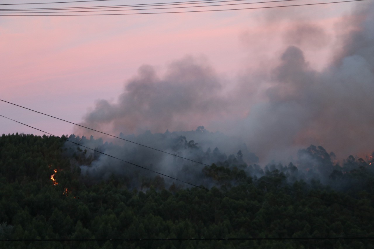 Avião 'Canadair' cai no Gerês e faz dois feridos graves