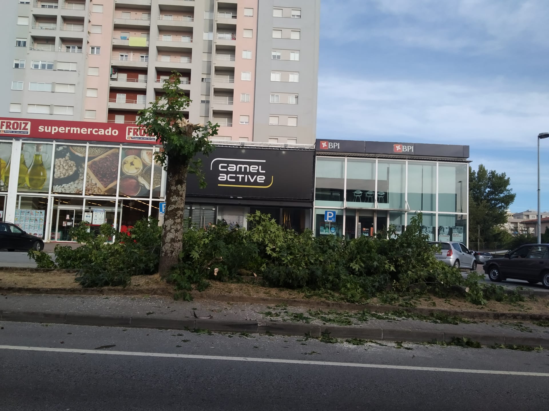 Dois carros danificados após queda de ramos de árvore em Braga