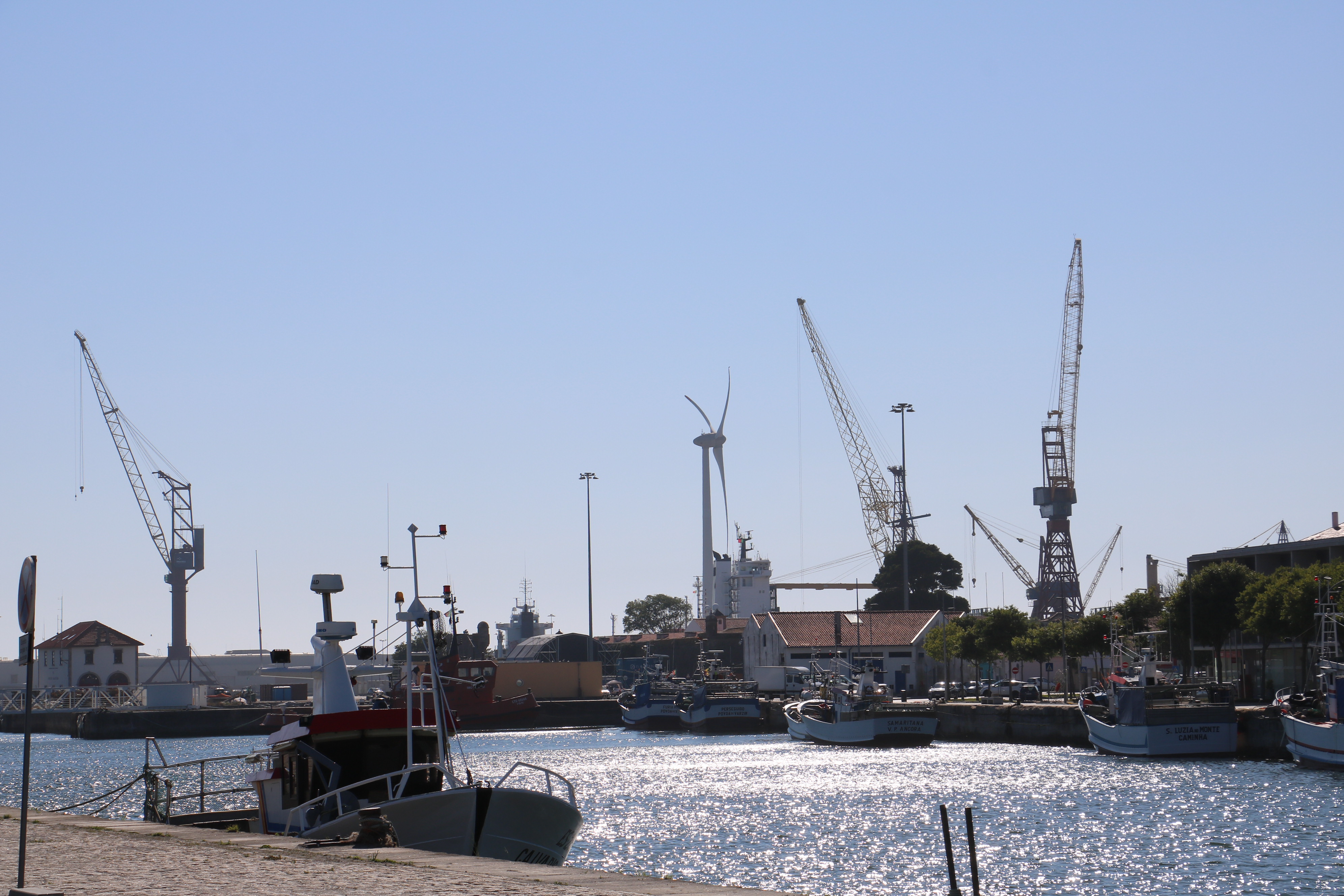Dia do Porto de Viana assinalado este sábado