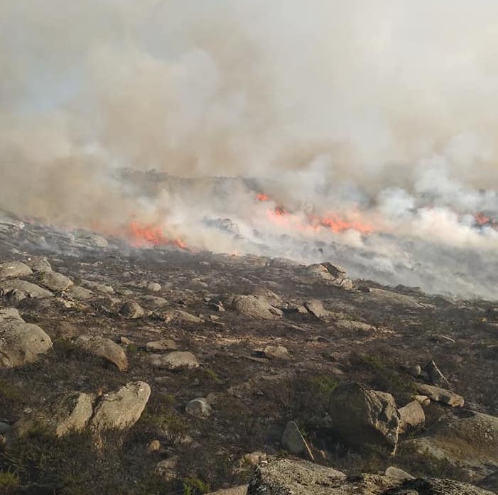 Fogo em Caminha dominado após várias horas de combate