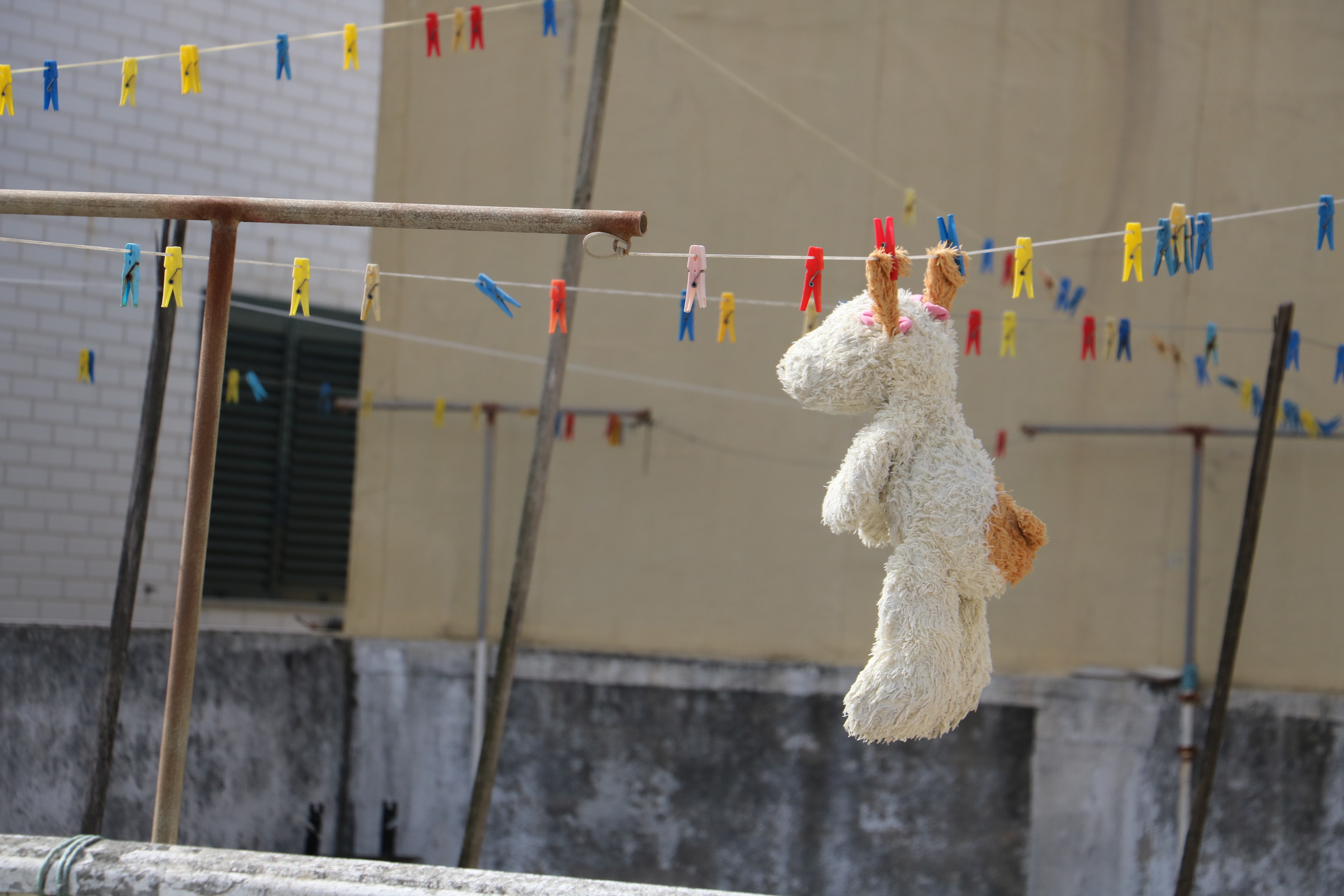 Bebé infetado fecha sala de creche em Viana
