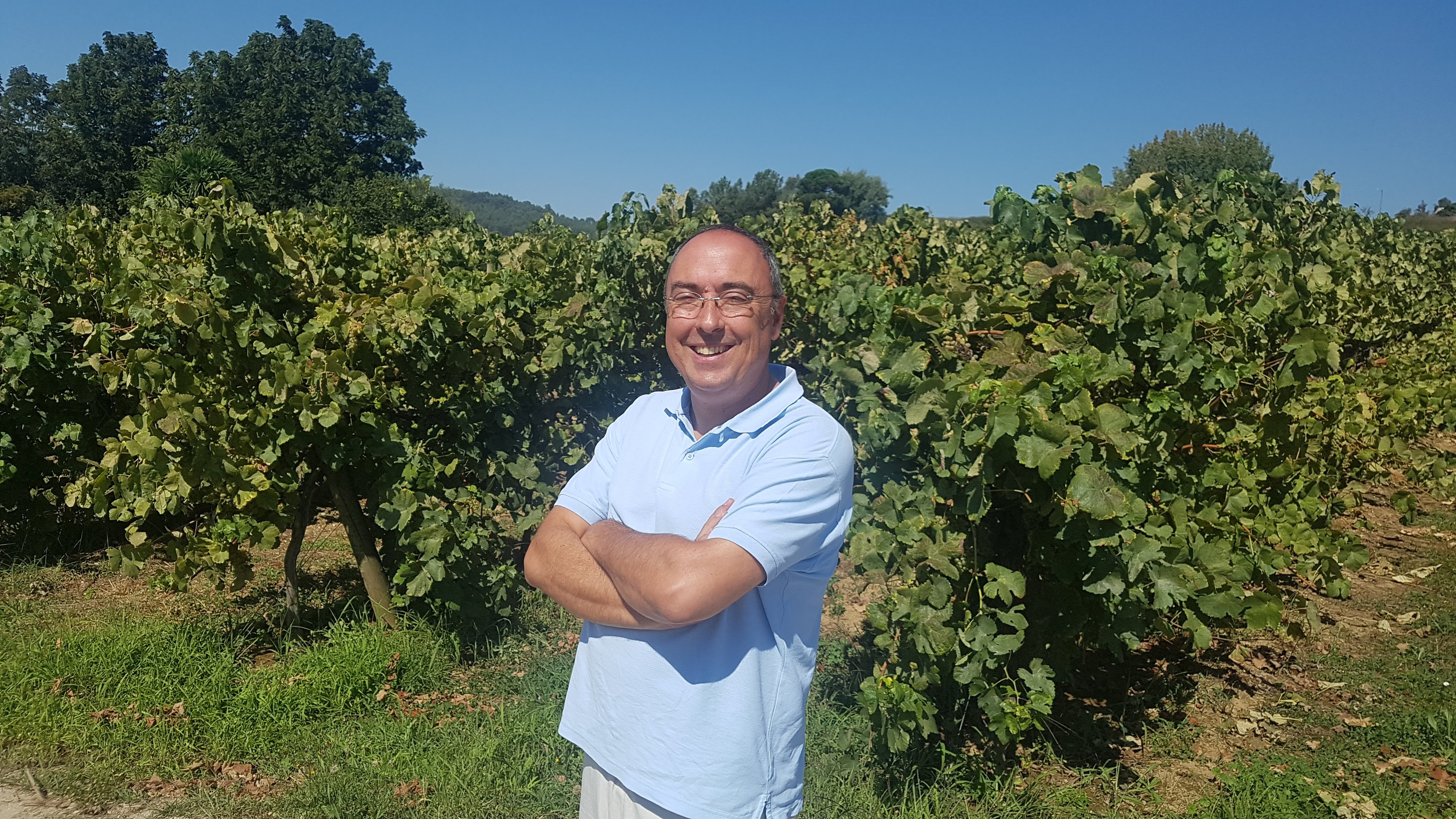Região dos Vinhos Verde espera um ano de excelente qualidade