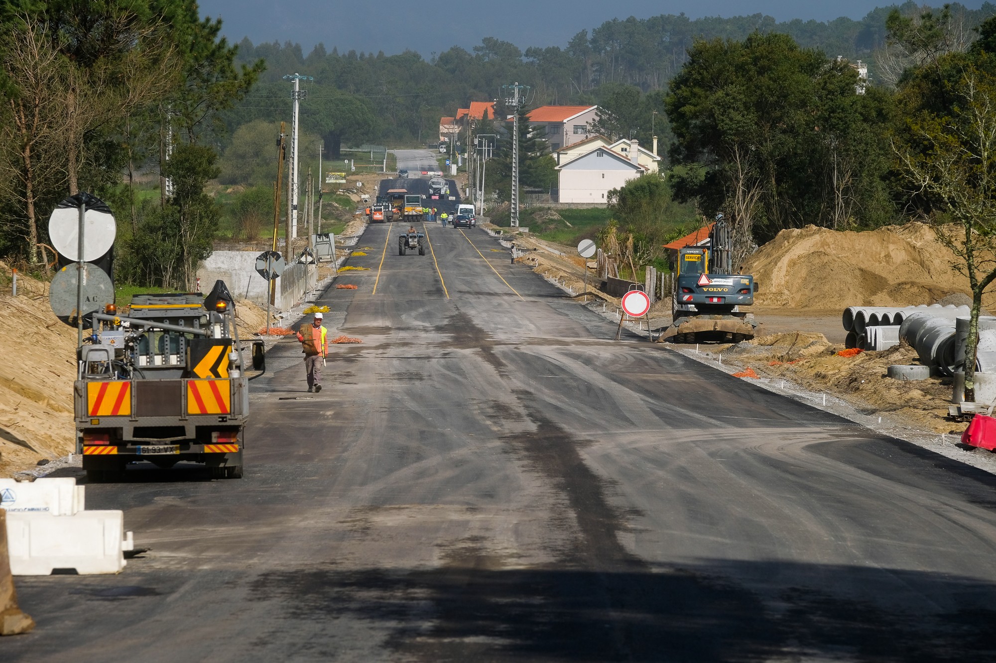 Populares abraçam-se a árvore para impedir abate em obra de Viana do Castelo