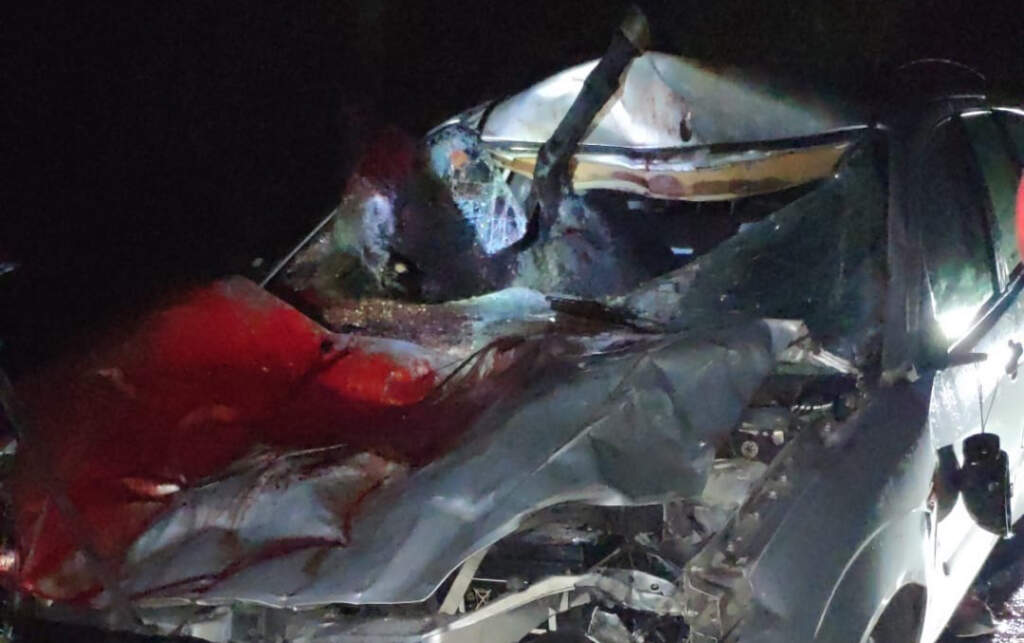 Condutor de carro atropela dois cavalos em Coura. Um morreu