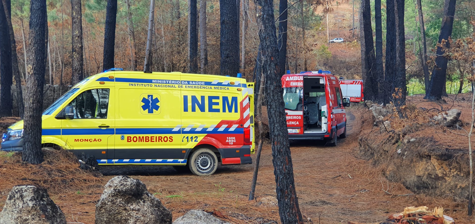 Queda de árvore faz um morto em Monção
