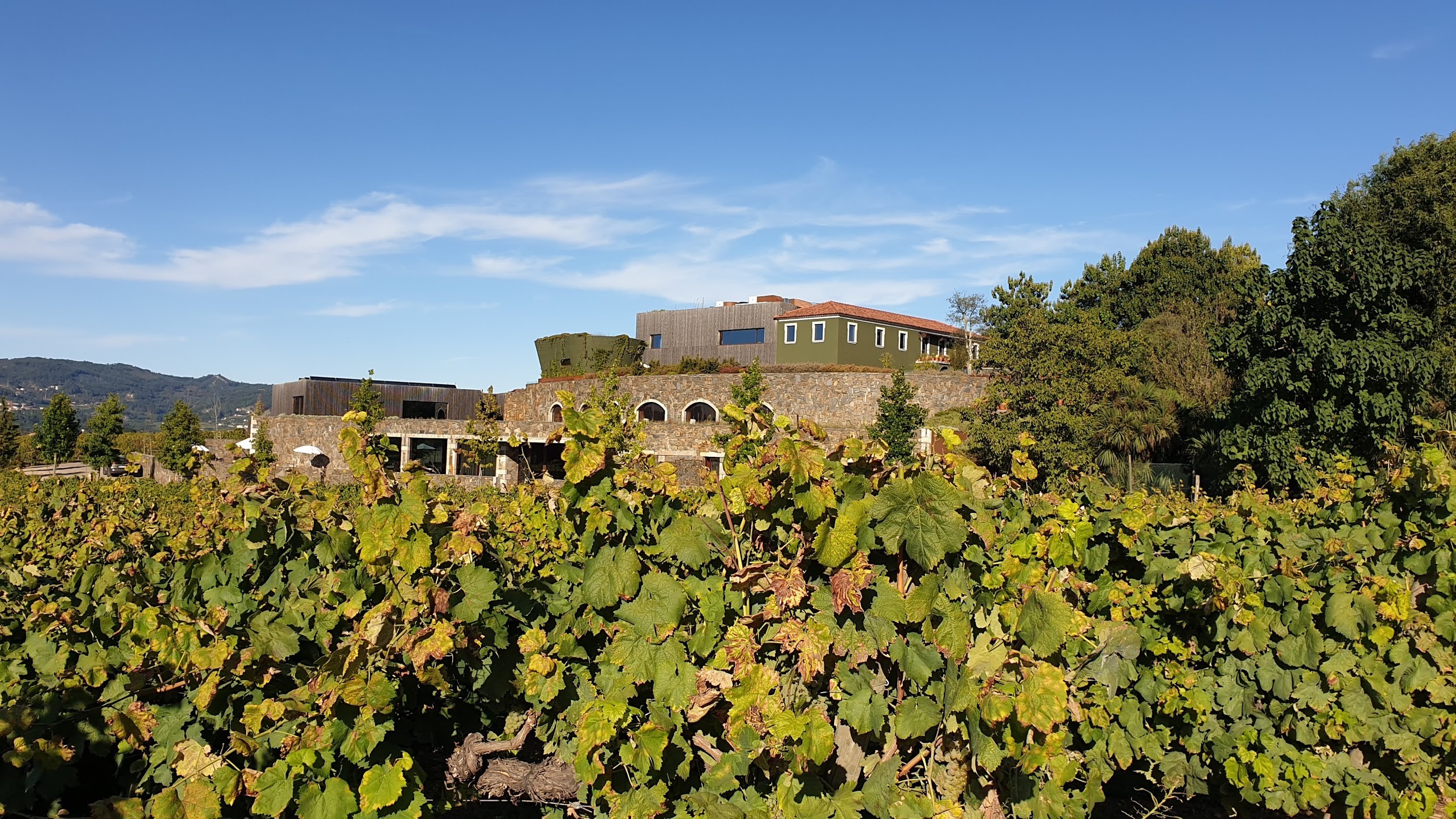 Hotel Monverde vence categoria de alojamento nos prémios Best Of Wine Tourism