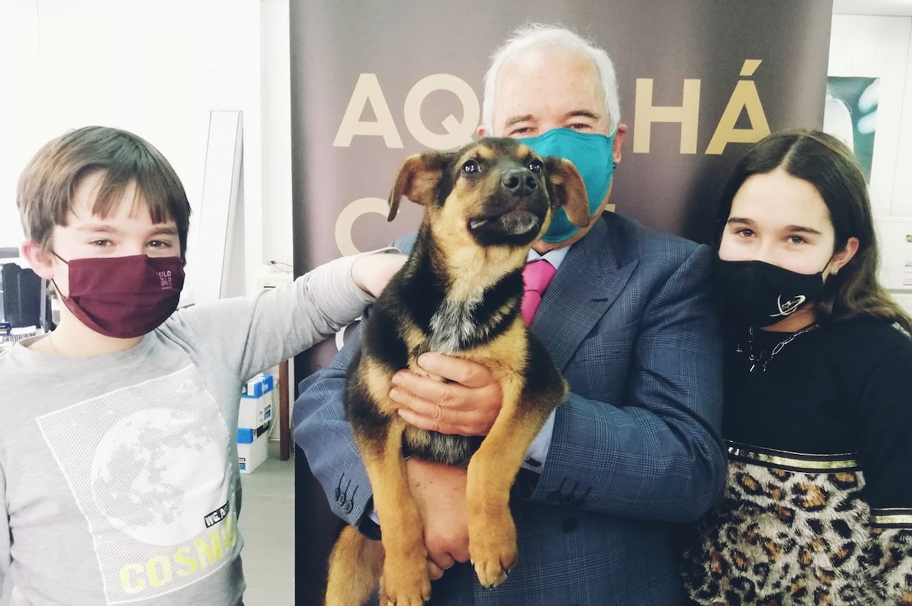 Centro de Recolha Animal de Famalicão promoveu a adoção de 565 animais em 2020