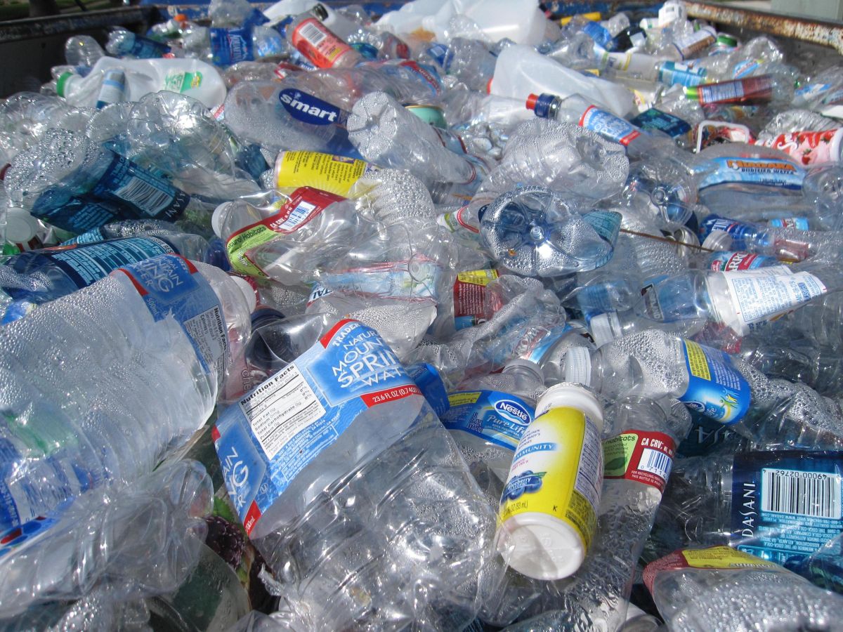 Ambientalistas alertam para quatro milhões de embalagens desperdiçadas diariamente por culpa do Governo