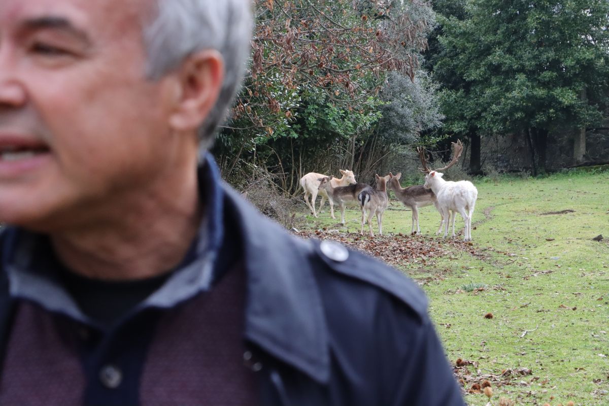 Escola em Braga tem uns residentes "especiais"