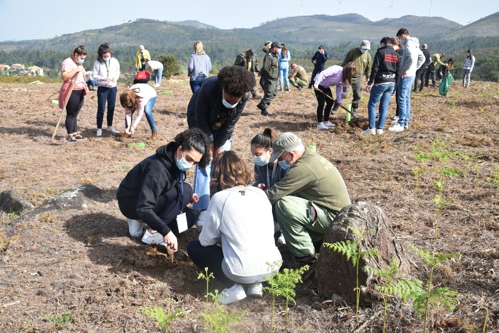 Câmara de Valença promove reflorestação no Cerdal