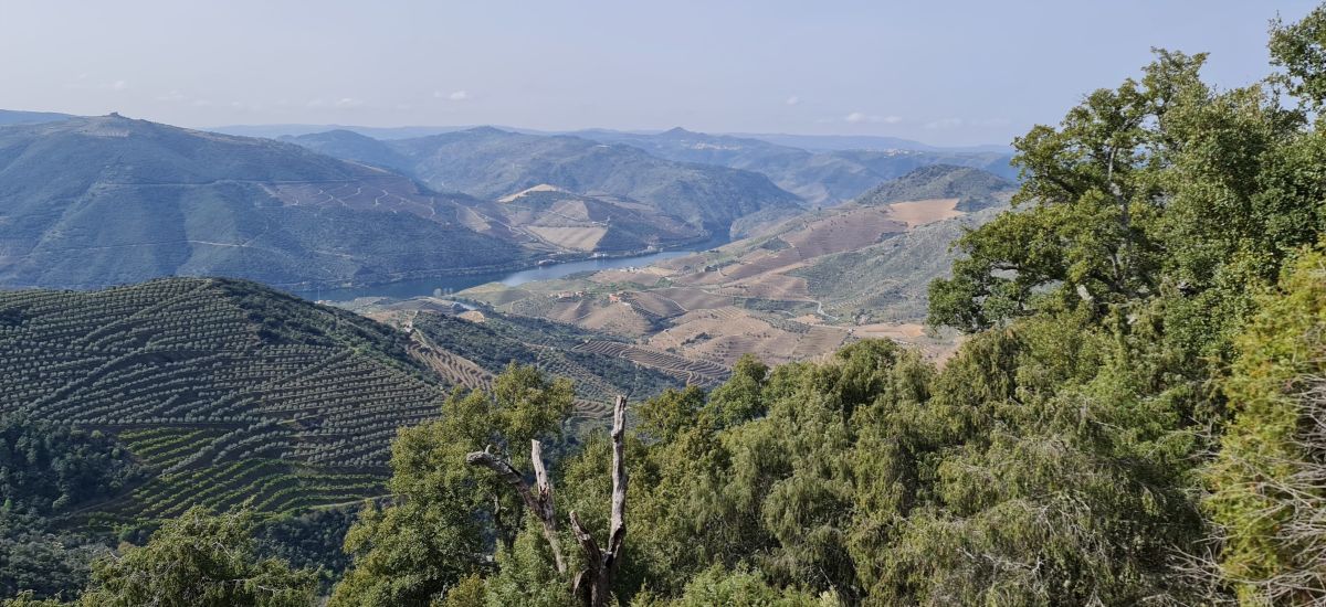 Carrazeda de Ansiães quer atrair minhotos  com cinco novos percursos pedestres