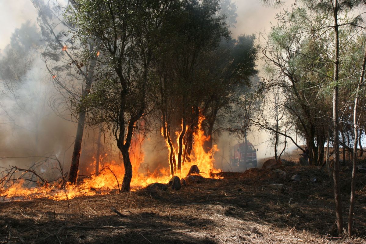 Portugal atinge máximo de incêndios deflagrados nas últimas 24 horas