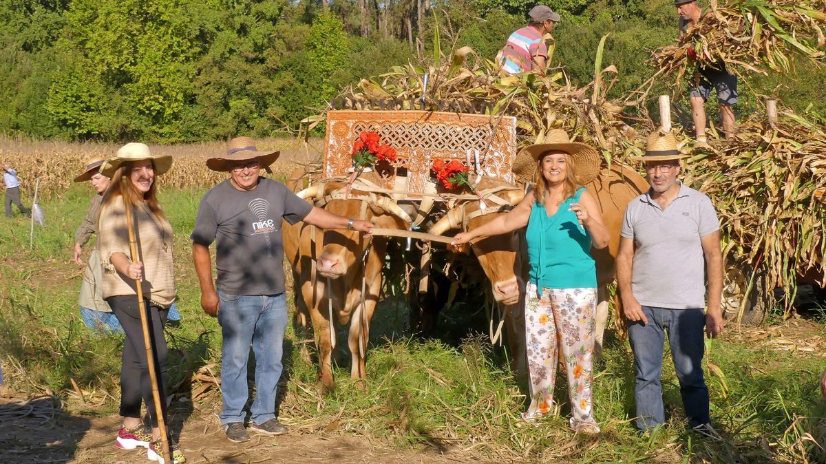 Tradições e gastronomia campestre marcam rota das colheitas em Prado e em Gatim