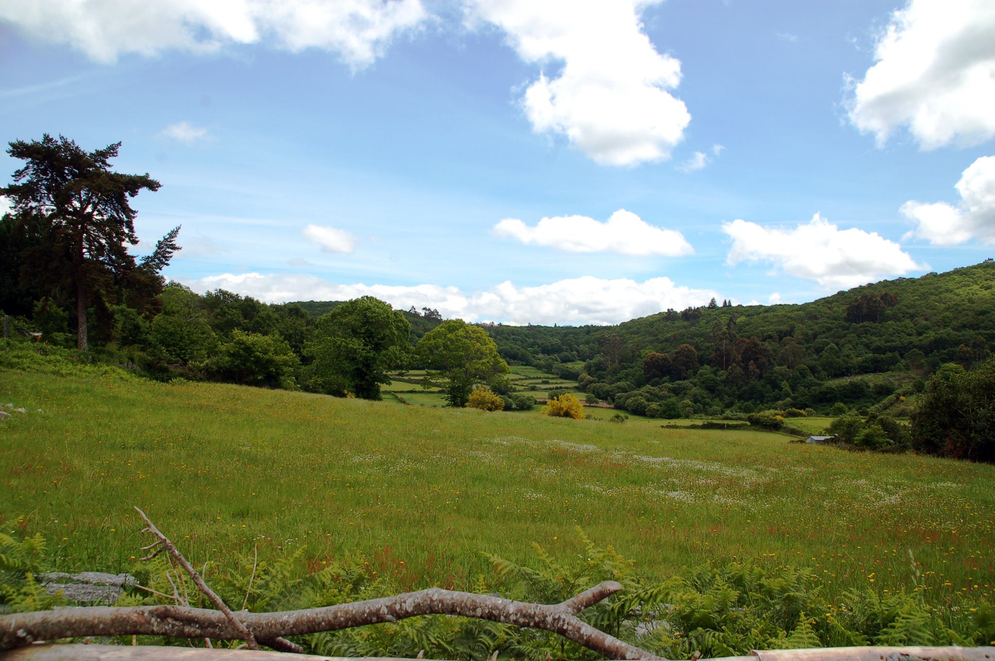 Paisagem de Corno de Bico distinguida pelo Politécnico de Viana
