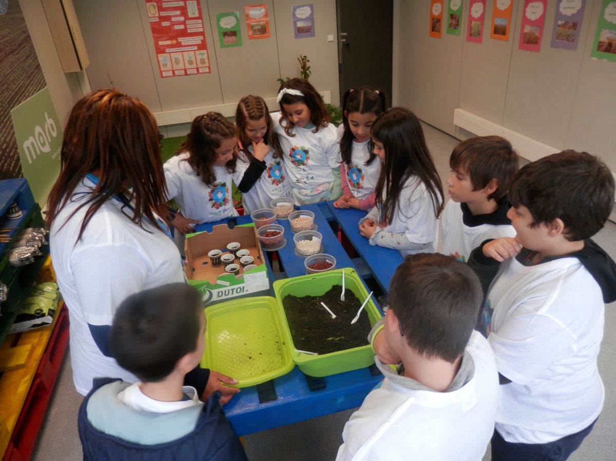 Escolas de Gualtar e S. Mamede no MARB