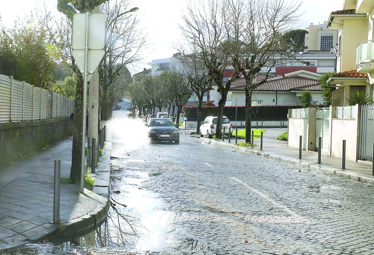 A hora do banho...