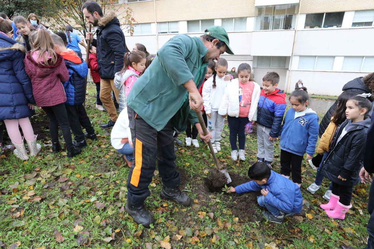Mais de mil árvores plantadas numa semana para criar barreiras e densificar zonas urbanas