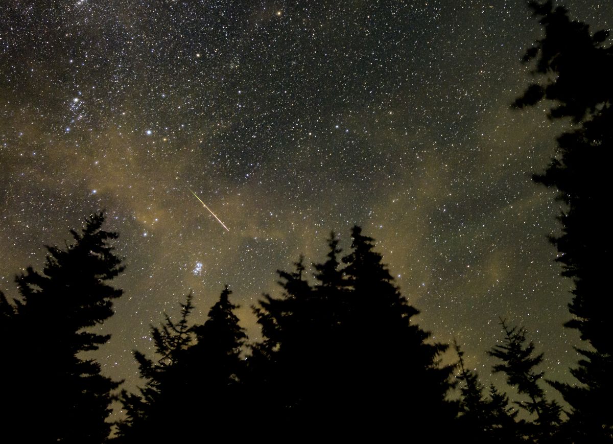 Perdeu a chuva de estrelas ontem? Ainda pode ver esta noite