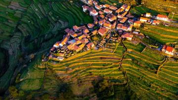 Arcos de Valdevez quer preservar socalcos e floresta da aldeia de Sistelo