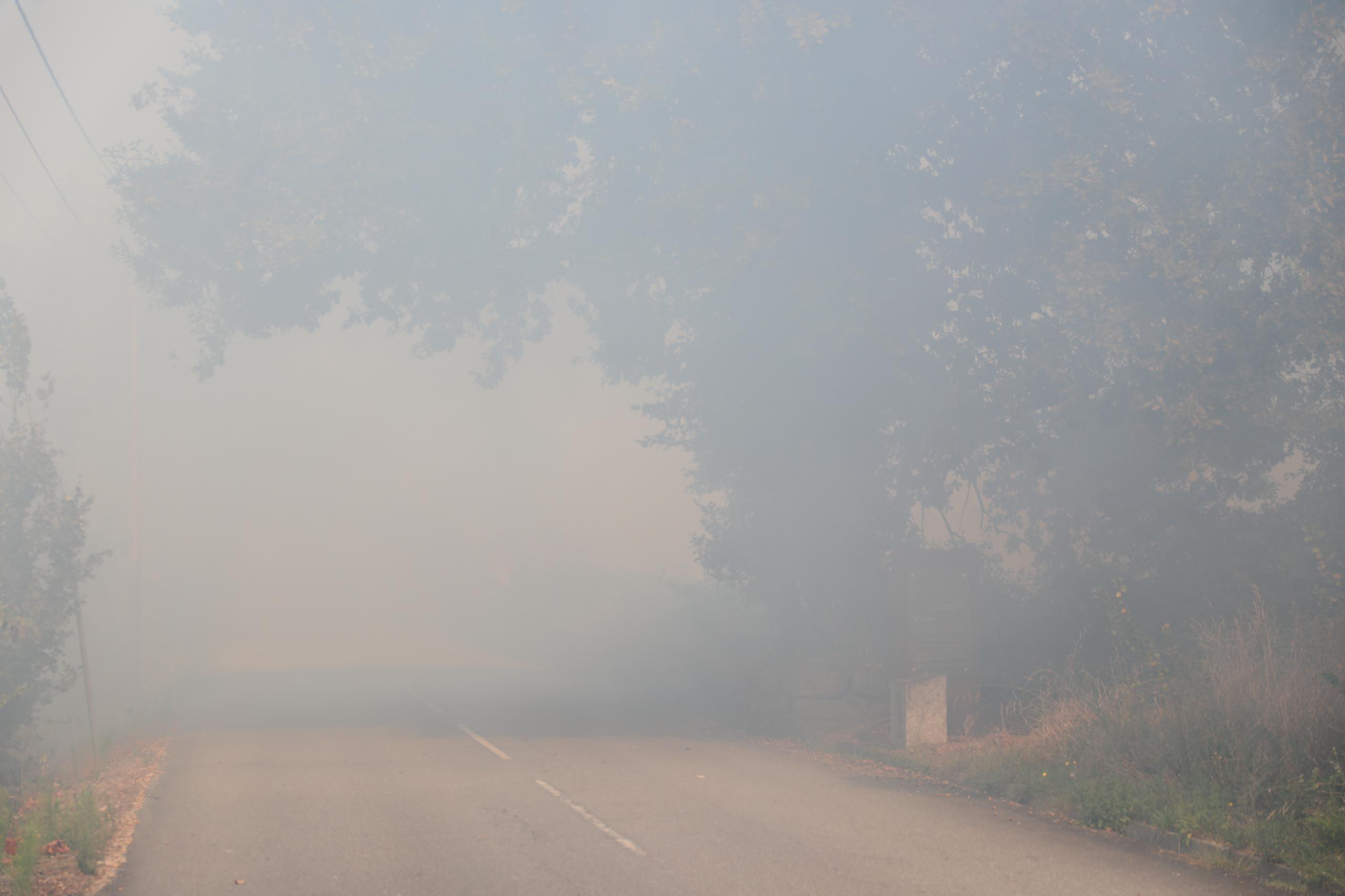 Liga Portugal decreta um minuto de silêncio pelas vítimas dos incêndios