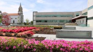 Vila Verde aprova contas de 2025 com saldo de 28,7 milhões de euros