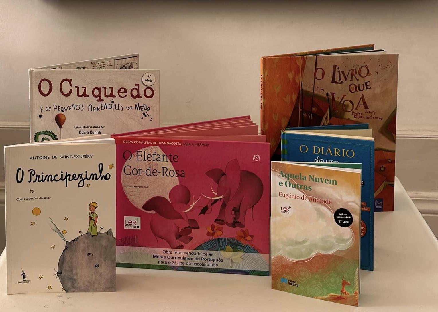 Colégio Leonard da Vinci promoveu “Livros com Superpoderes”